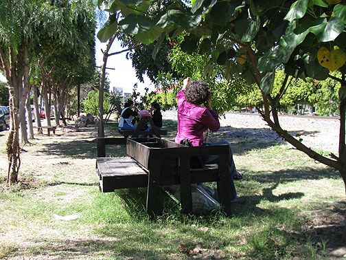 Picnicking and hanging out in the grassroots linear park.