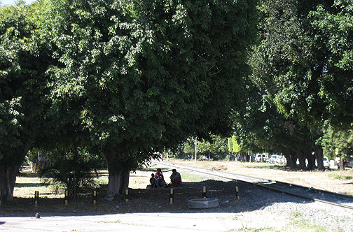 Neighbors and passersby already make use of the shady trees and park benches that locals have installed as part of their guerrilla park-making.