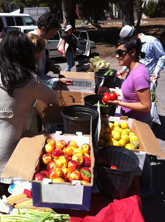 A "Fresh Produce Share-With-All" at Hayes Valley Farm. Photo: Jenny Sherman