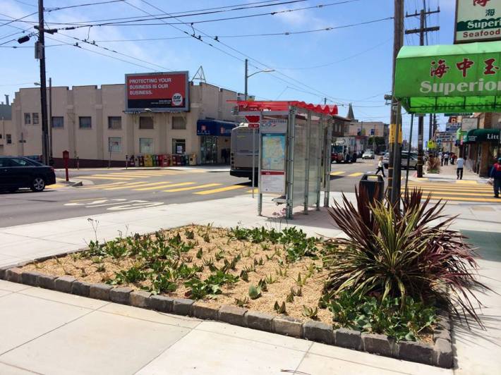 The size of the planters that came with the bulb-outs on Balboa irked some residents. Photo: SFMTA
