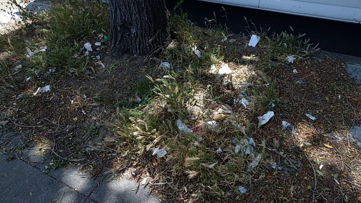 Why are some neighborhoods covered in litter? Photo: Streetsblog.