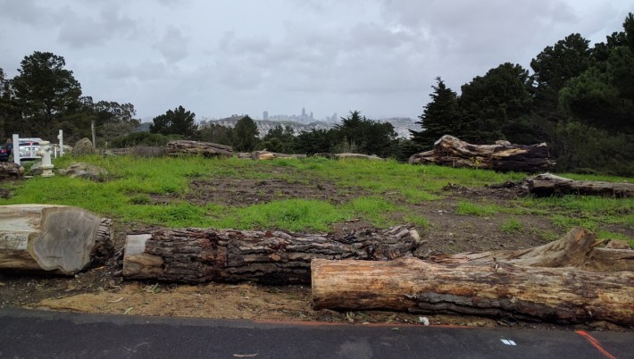 Apologies for the cell phone camera, but that's the skyline from the McLaren Park path. SF's second-largest park has some really fantastic views. Photo: Streetsblog