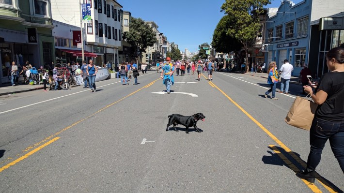 Dogs had fun too on the first Sunday Streets event of 2017. Photo: Streetsblog/Rudick
