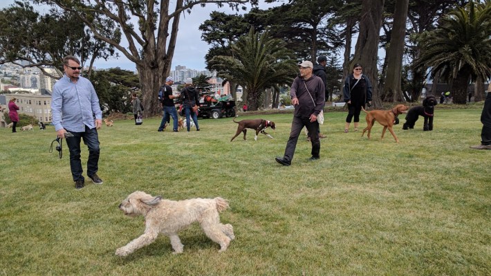 Four legs or two, everybody was excited to have their park back