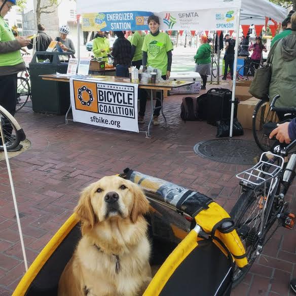 Biking can be for the dogs sometimes. Photo: IG