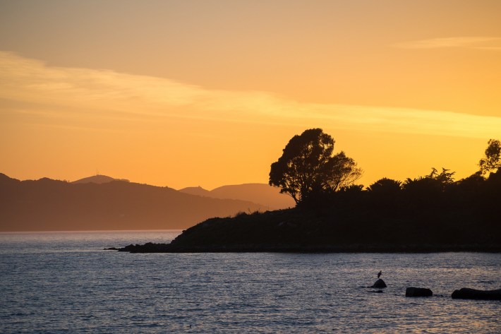 The coast off Albany. The Bay Area's coastline is in danger. 'Resilient by Design' wants your ideas for protecting it. Photo: Shira Bezalel, SFEI for Resilient by Design