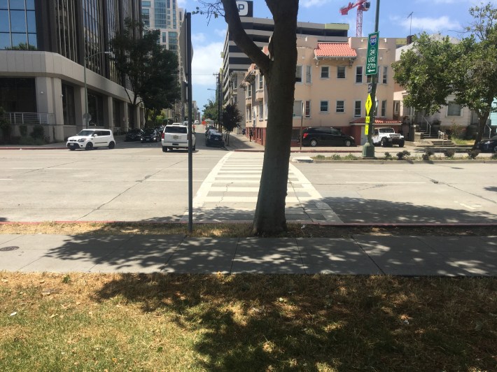 A pre-construction view of the tree blocking the crosswalk. Photo: Nicole Ferrara
