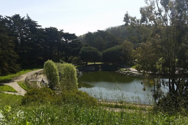 McNab Lakein McLaren Park. Photo: SF Rec & Parks