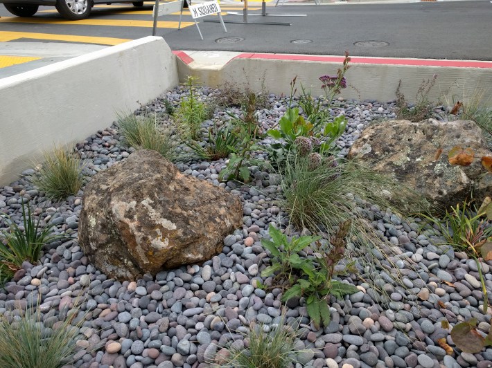 This corner/blub out rock garden covers a cistern for better storm water management.