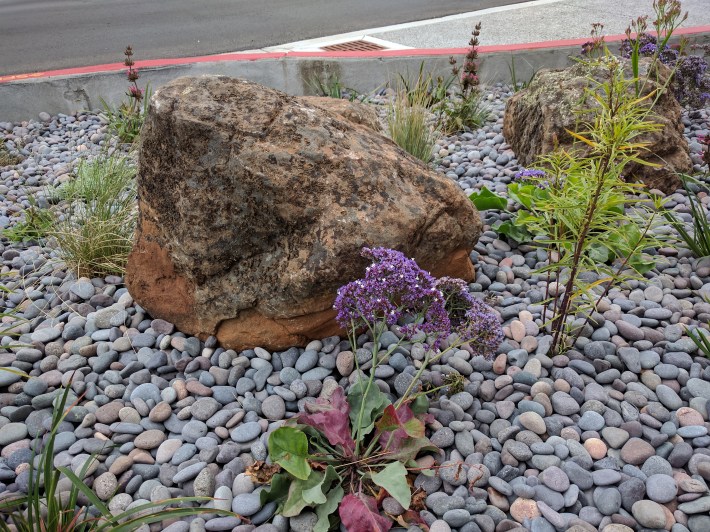 Functional, yes, but the cisterns add an attractive feature to the neighborhood