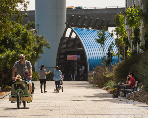 Mission Creek Park. Photo: Mission Bay Parks