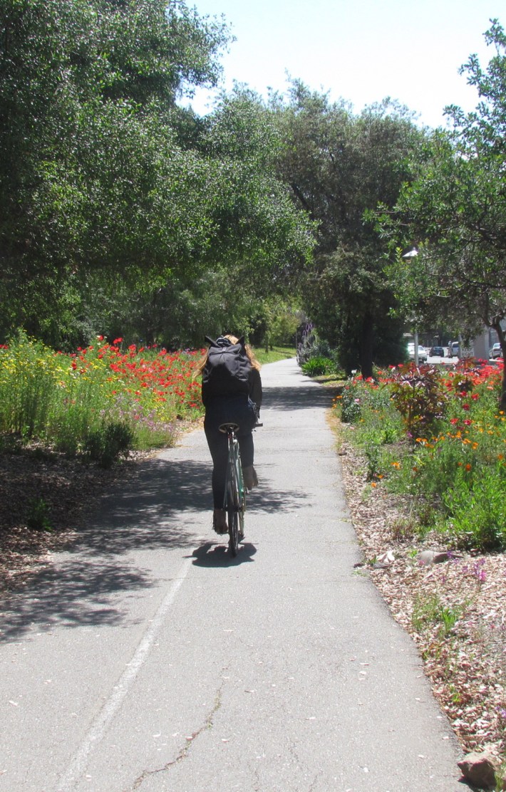 This long-awaited project closes a critical gap in the Bay Trail.