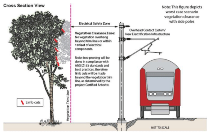 CaltrainTreePruning