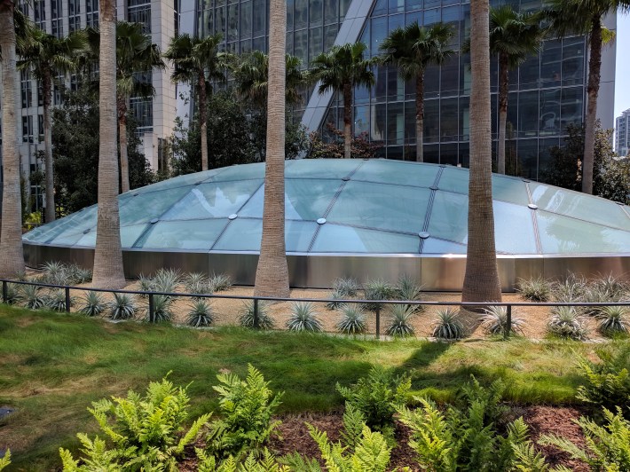 The skylight as seen from the park level