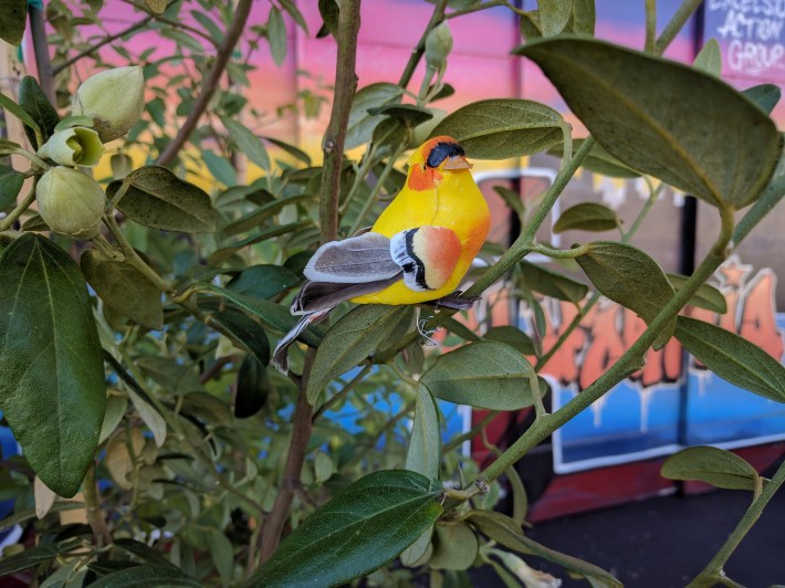 Friends of the Urban Forrest's display was for the birds