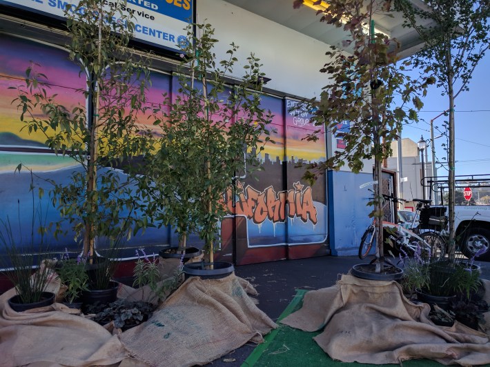 Friends of the Urban Forest's display at the Persia Triangle