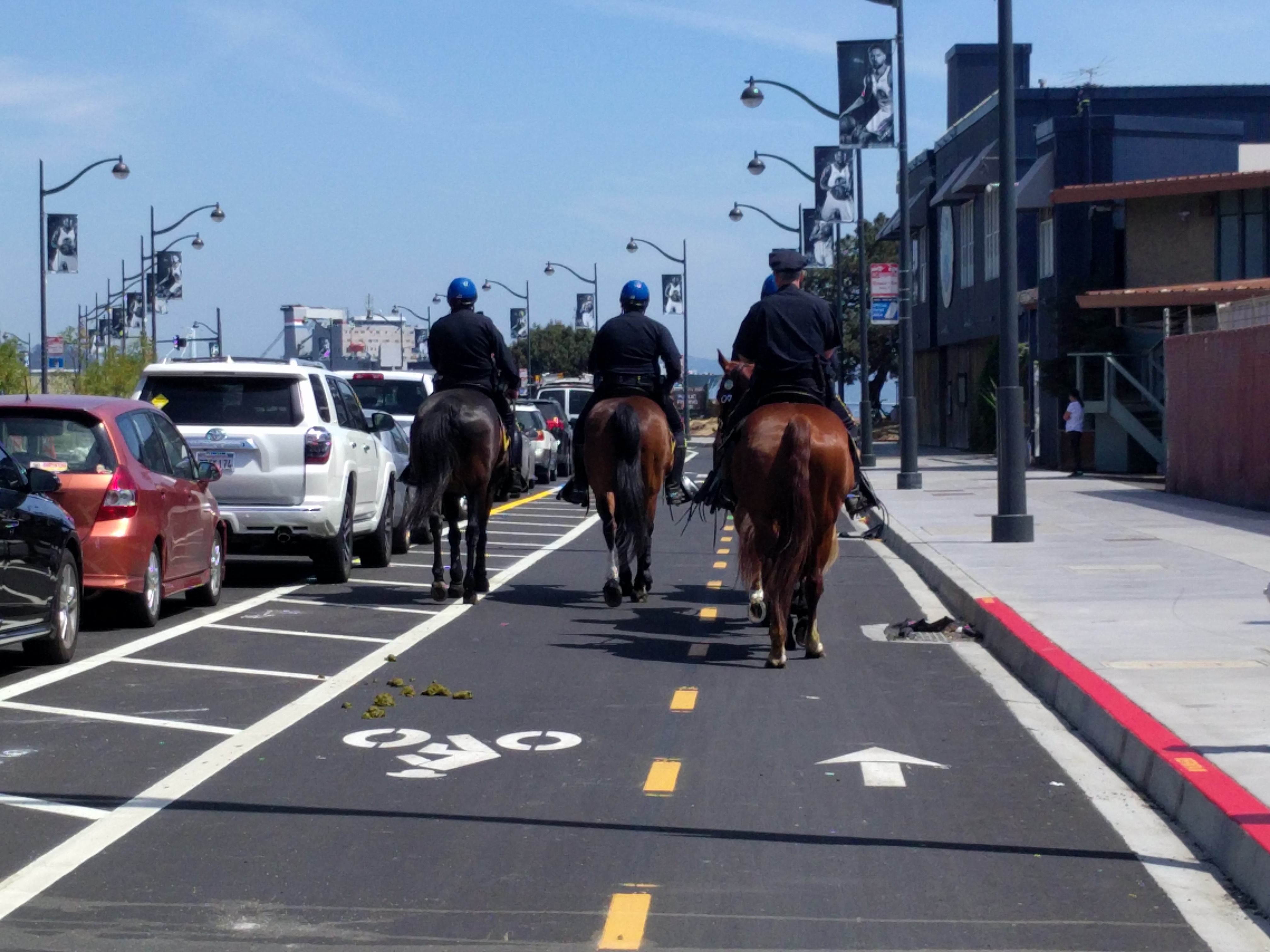 These horses asses were using the bike lane--literally.