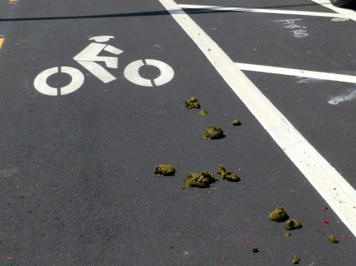 Cyclists contend with a lot of sh*t when it comes to bike lanes, but usually not literally.