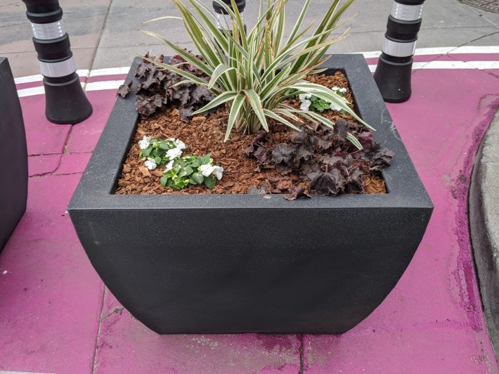 Rows of these heavy planters slow cars turning onto the street and keep motorists from parking on the new pedestrianized areas