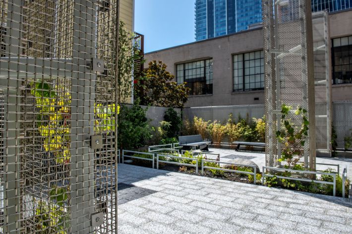 Note the grape vines, trees, columns and benches. Photo: SF Park and Rec