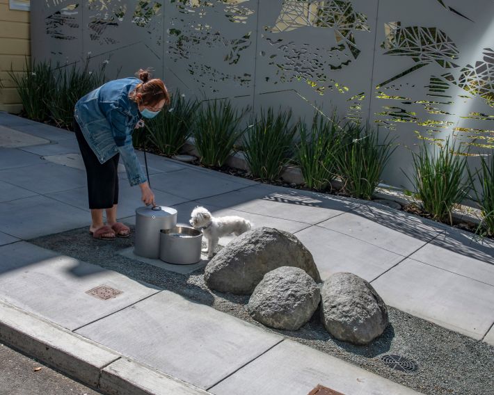 The pet fountain and pp area. Photo: SF Rec & Parks