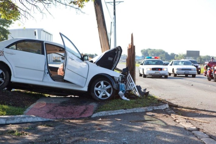 The tree wasn't wearing a helmet. Photo: Anthony Quintano/Flickr