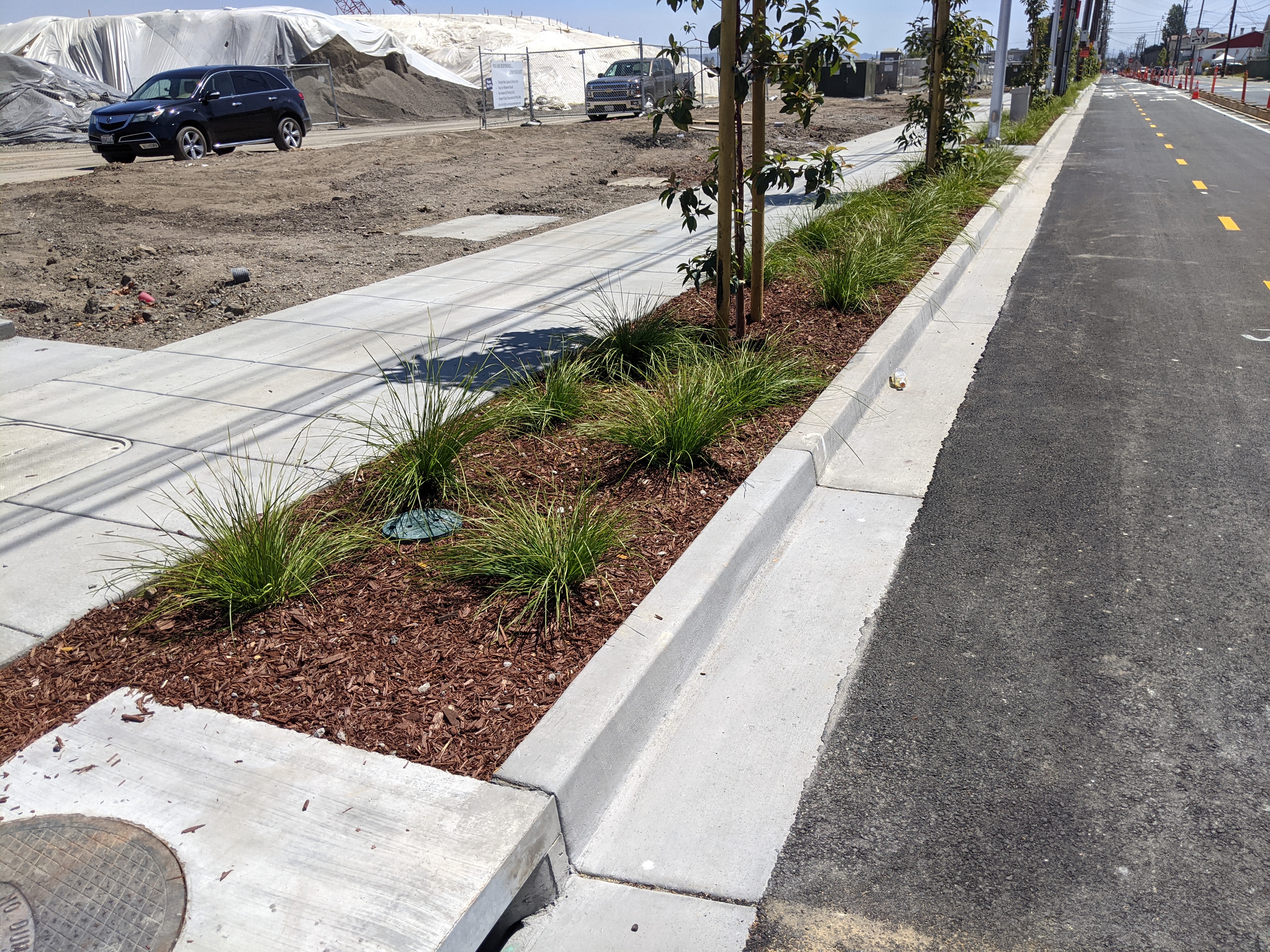 A bioswell and drainage on the new segment.