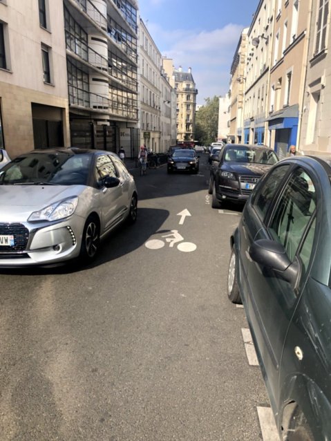 Even Paris has some bullsh*t bike lanes. These are the kind of 'lanes' that shouldn't be counted