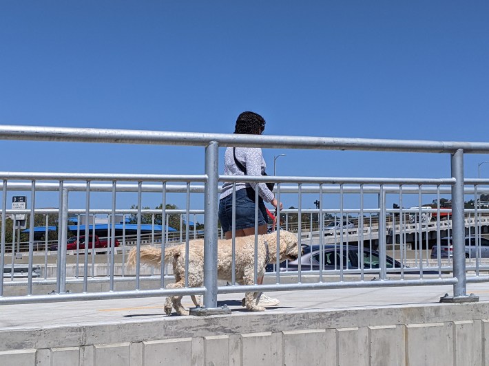 A woman walks her dog across the path