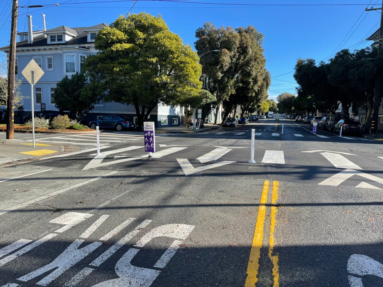 The bendy straws installed by SFMTA. Photo: advocate Luke Bornheimer