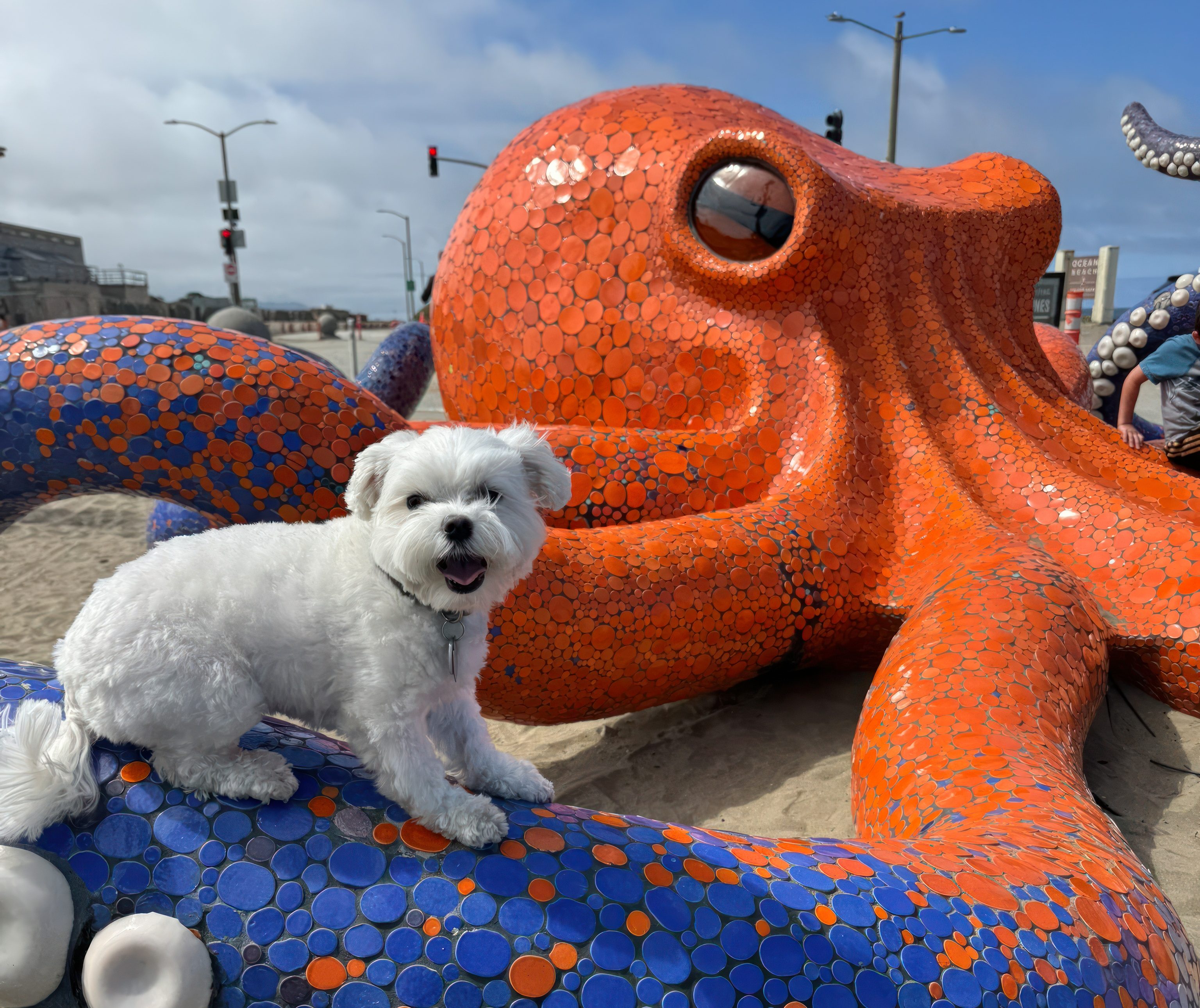 Supervisor Wong's Attempt to Put Cars Back on Sunset Dunes Crashes - Streetsblog San Francisco